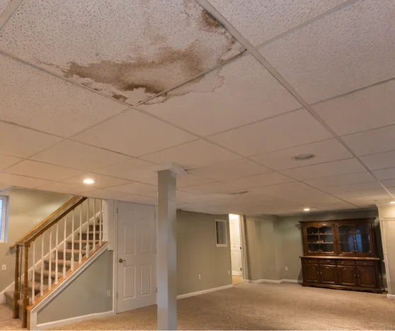 Mold & Moisture Inspection in Savage, MN